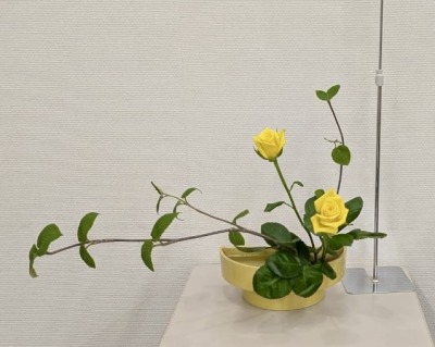 画像の説明
