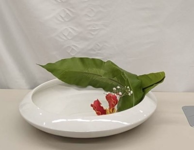 画像の説明